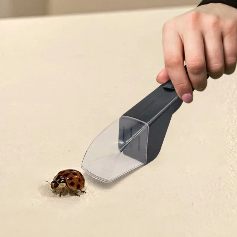 Handheld Insect Catcher